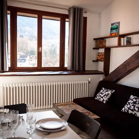 Apartment Le T2 Douillet D'uriage - Le Louvre - Cure Thermale Uriage- Proche Chamrousse - Jusqu'a 3 Personnes - Region Agreable En Toute Saison